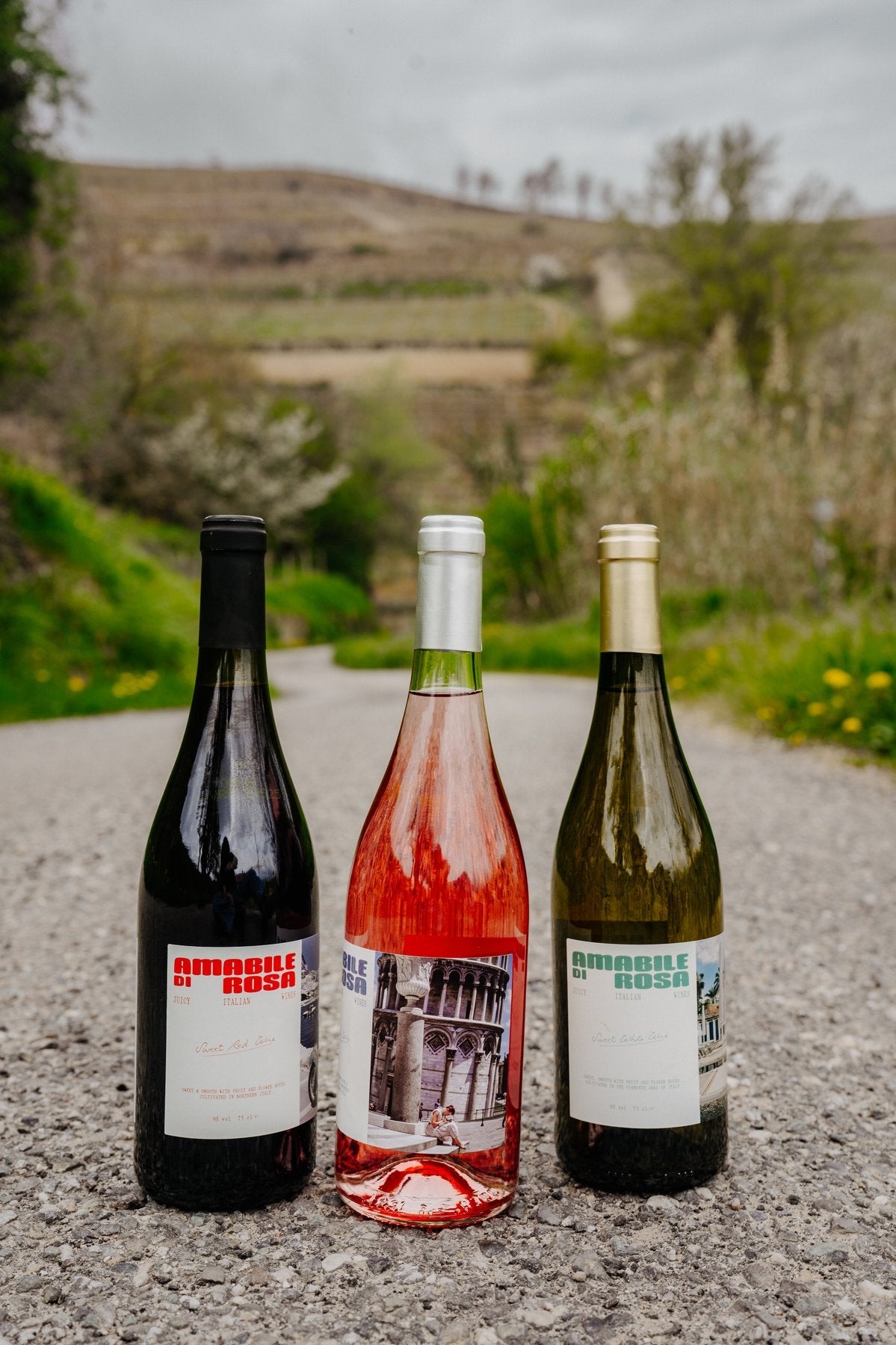 The Amabile di Rosa trio on a hillside vineyard road